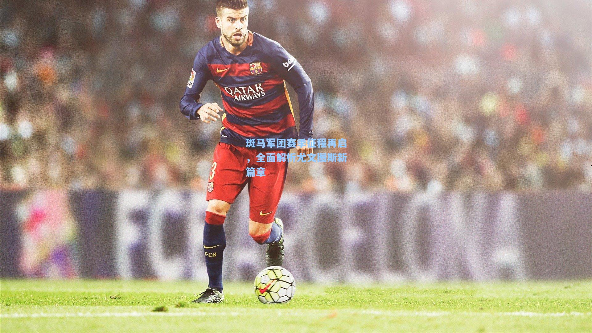 斑马军团赛季征程再启,全面解析尤文图斯新篇章